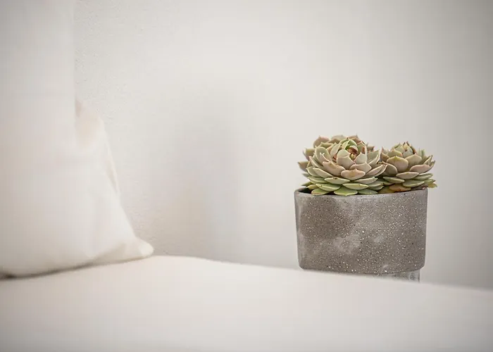 Marianna ペリッサ